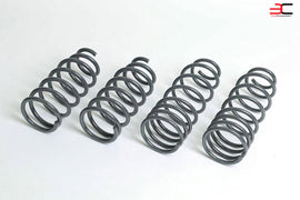 PROGRESS TECHNOLOGY LOWERING SPRINGS FIAT 124 - EUROCOMPULSION